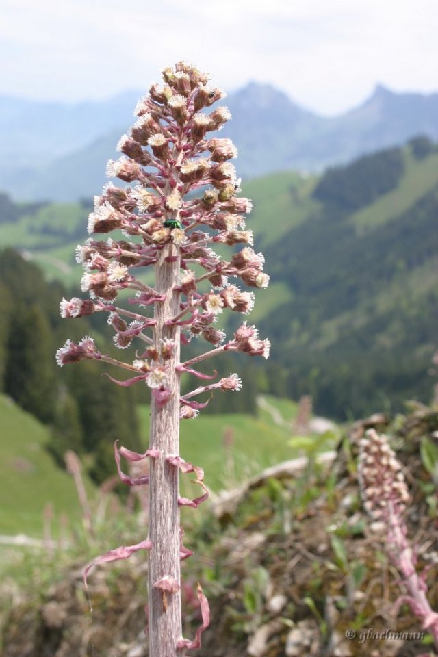20050521_095